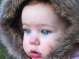 fur boo